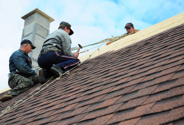 Quick and Trustworthy Emergency Roof Repair Services in Van Alstyne, TX